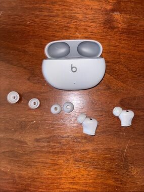 Beats by Dre True Wireless Earbuds in White